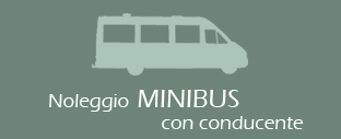 noleggio minibus